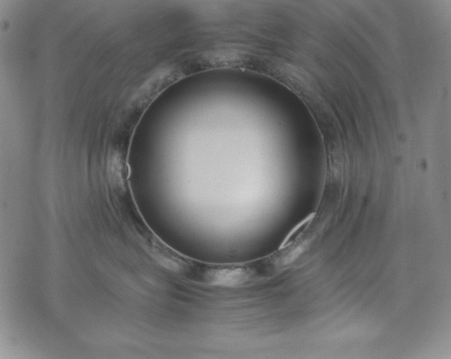 X0000074230575200609011245