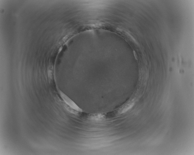 X0000074230576200609011245