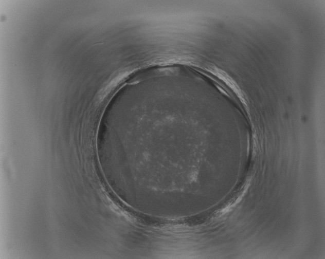 X0000074230577200609011244