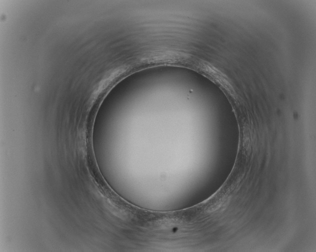 X0000074230578200609011244