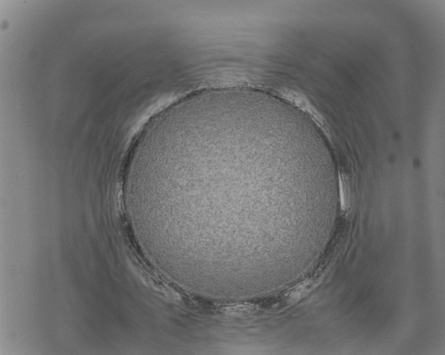 X0000074230579200609011244