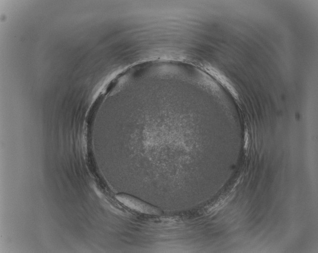 X0000074230580200609011244