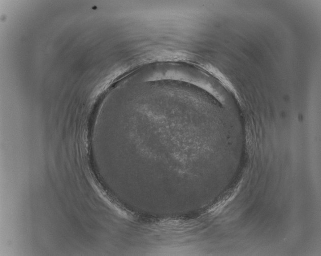 X0000074230581200609011244