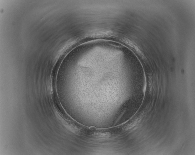 X0000074230582200609011244