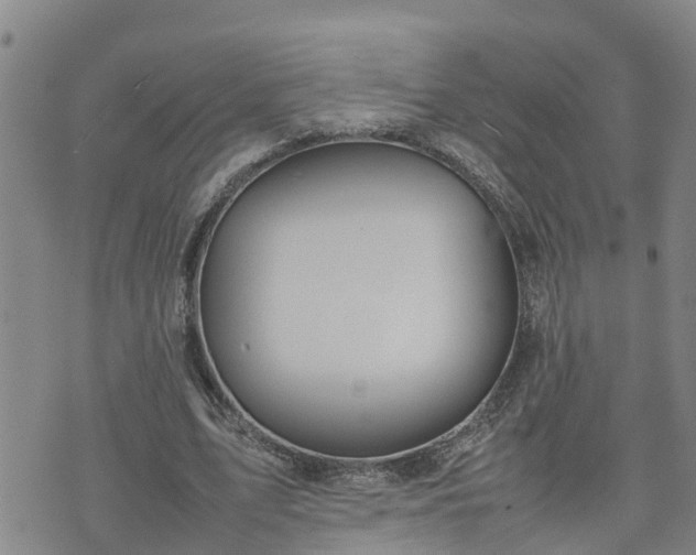 X0000074230583200609011244