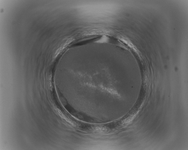 X0000074230585200609011244