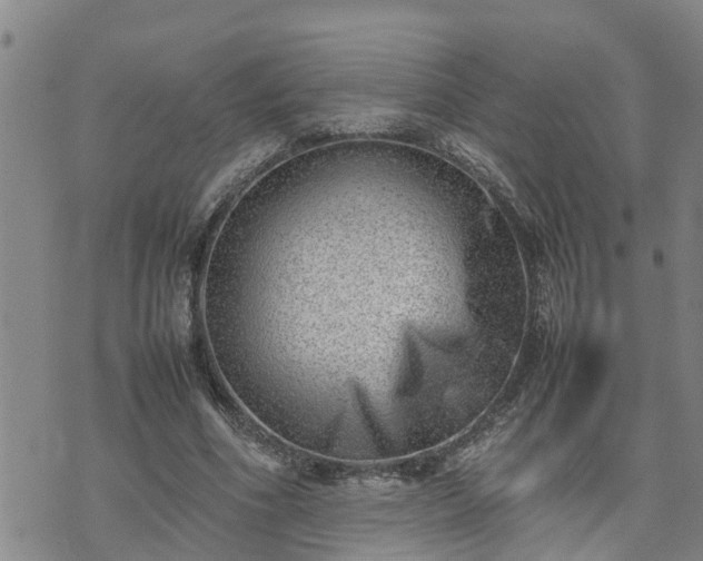 X0000074230586200609011244