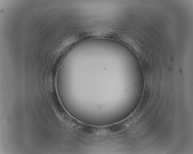 X0000074230587200609011244