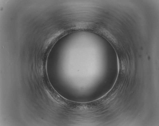 X0000074230588200609011244