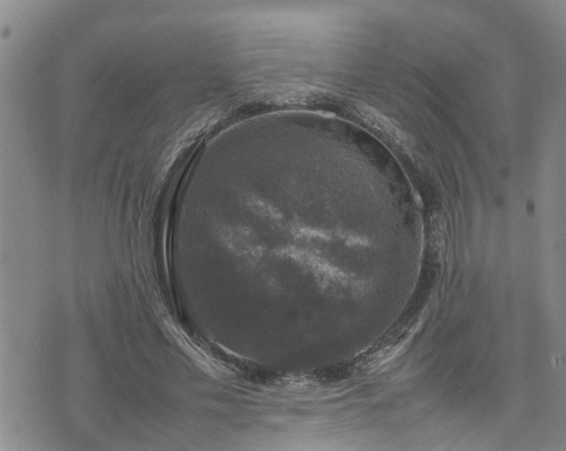 X0000074230589200609011244