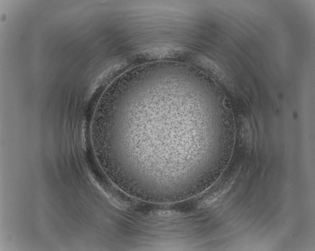 X0000074230590200609011244