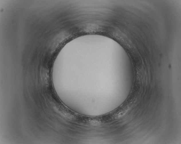 X0000074230592200609011244