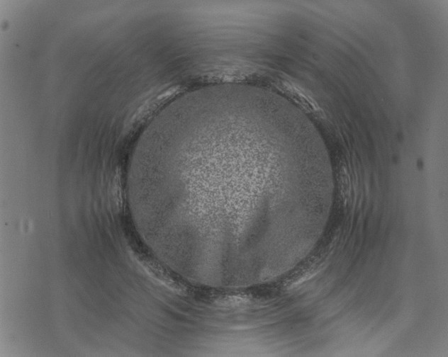 X0000074230594200609011244