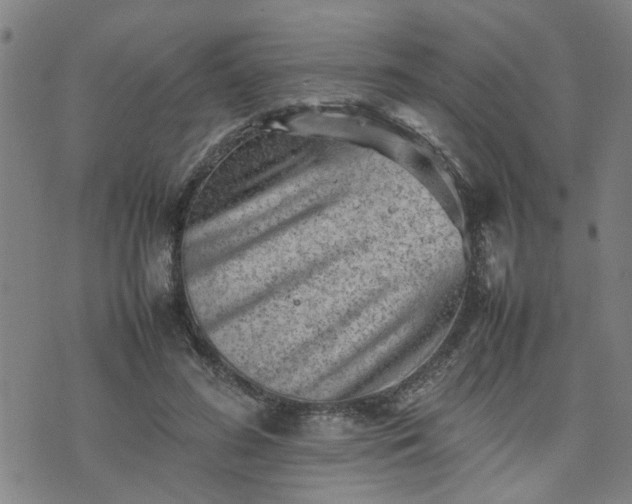 X0000074230596200609011244