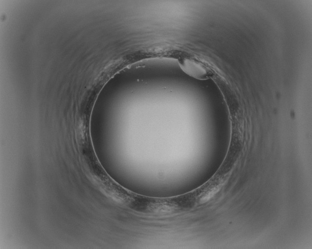 X0000074230597200609011244