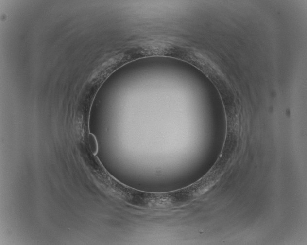 X0000074230599200609011244