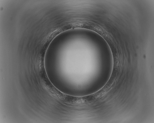 X0000074230600200609011243