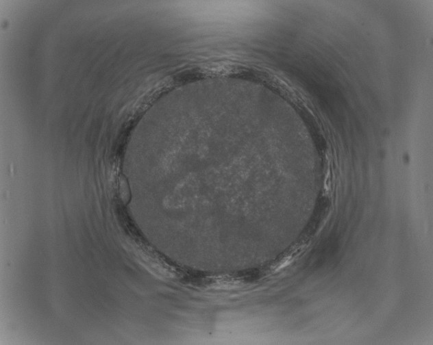 X0000074230601200609011243