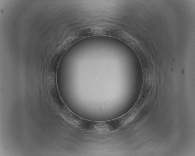 X0000074230603200609011243