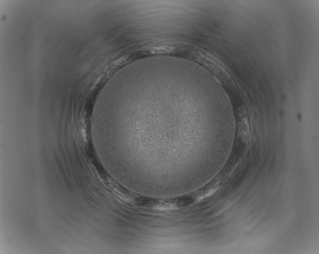 X0000074230604200609011243