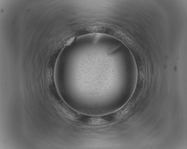 X0000074230605200609011243