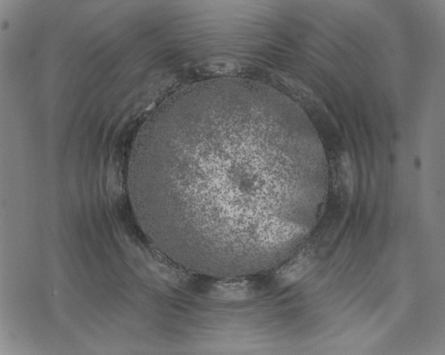 X0000074230606200609011243