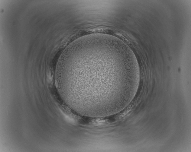 X0000074230607200609011243