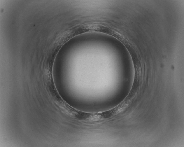 X0000074230609200609011243