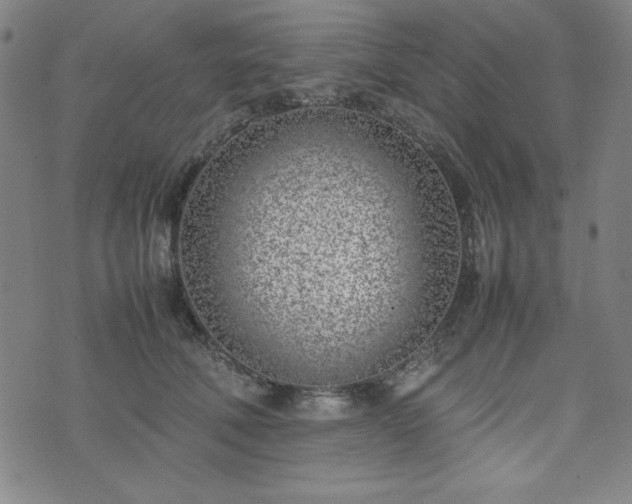 X0000074230610200609011243