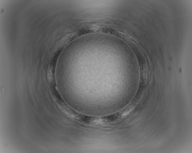 X0000074230611200609011243