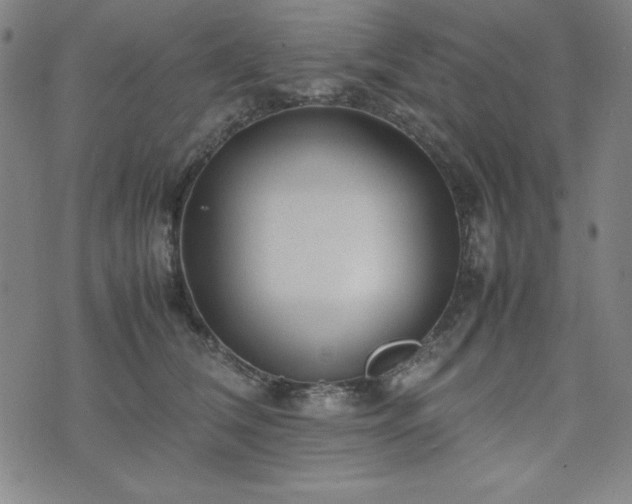 X0000074230612200609011243