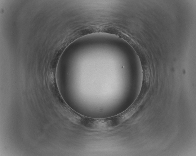 X0000074230613200609011243