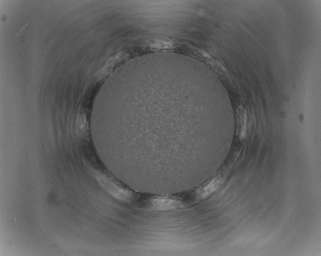 X0000074230614200609011243