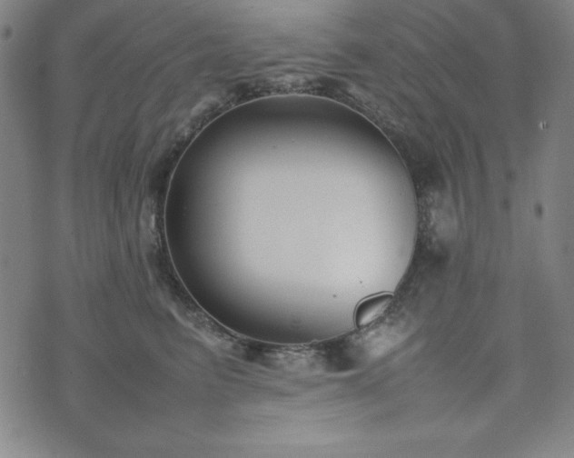 X0000074230615200609011243