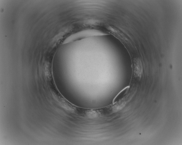 X0000074230616200609011243