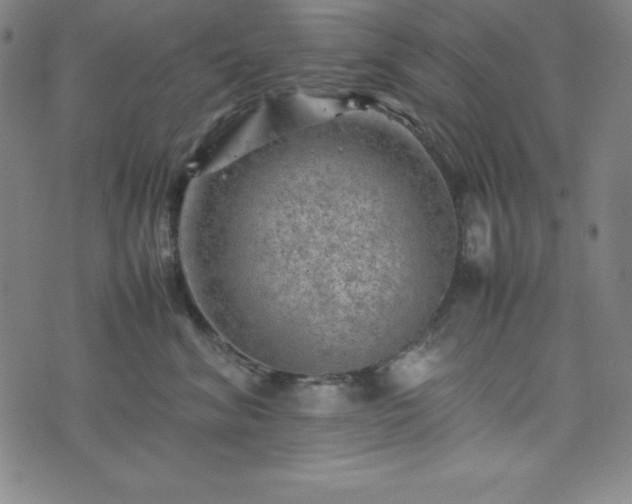 X0000074230620200609011243