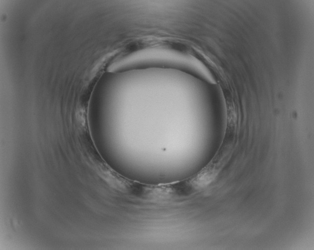 X0000074230621200609011243