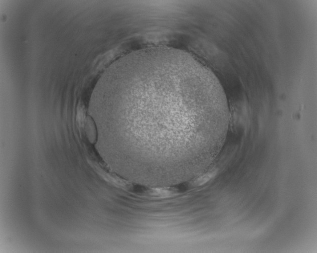 X0000074230623200609011243