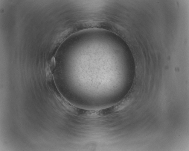 X0000074230624200609011243