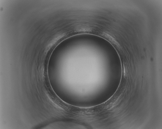 X0000074230627200609011242