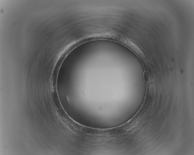 X0000074230628200609011242