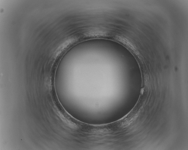 X0000074230629200609011242