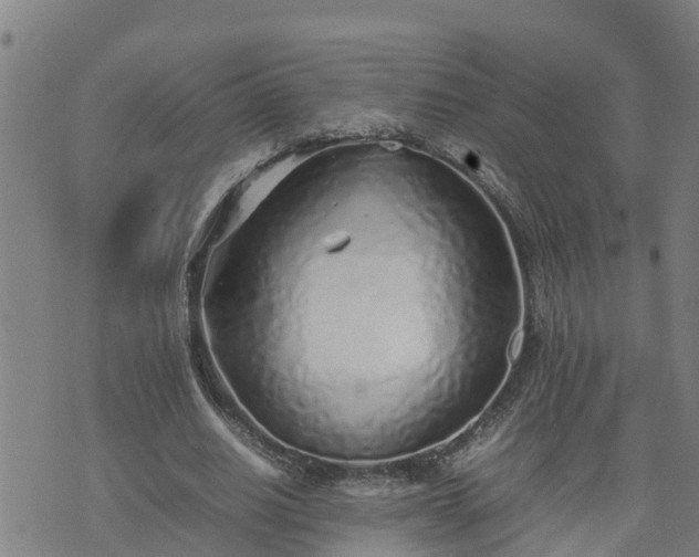 X0000074230630200609011242