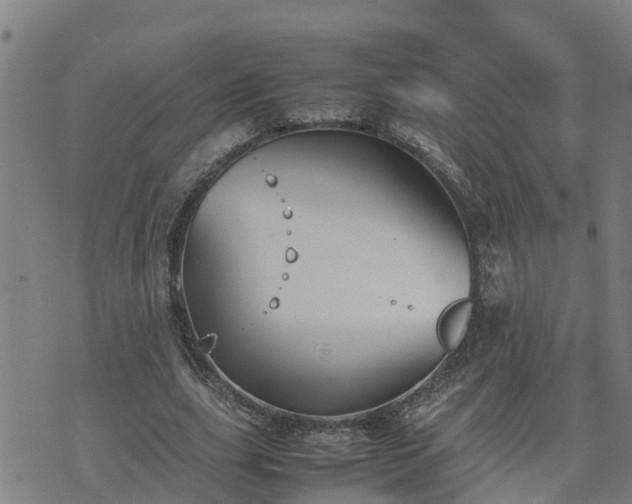 X0000074230631200609011242