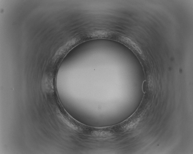 X0000074230633200609011242