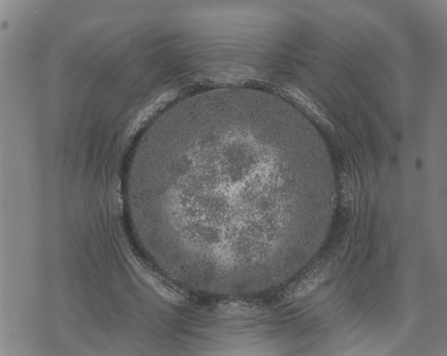 X0000074230634200609011242