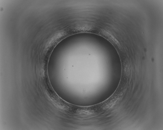 X0000074230635200609011243