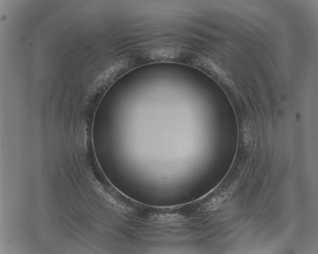 X0000074230637200609011243