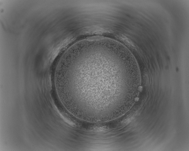 X0000074230638200609011243