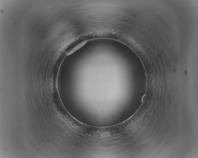 X0000074230640200609011243